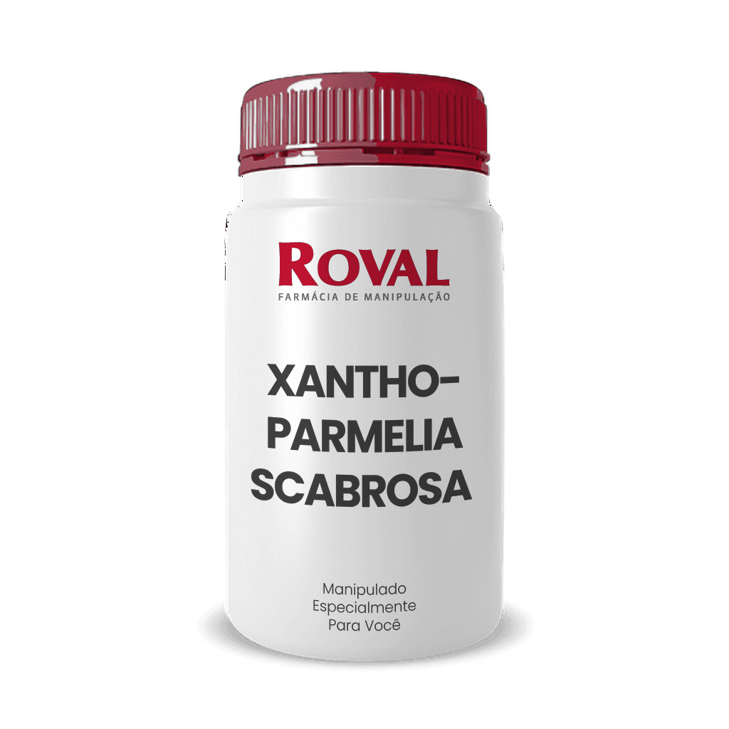 Xanthoparmelia Scabrosa